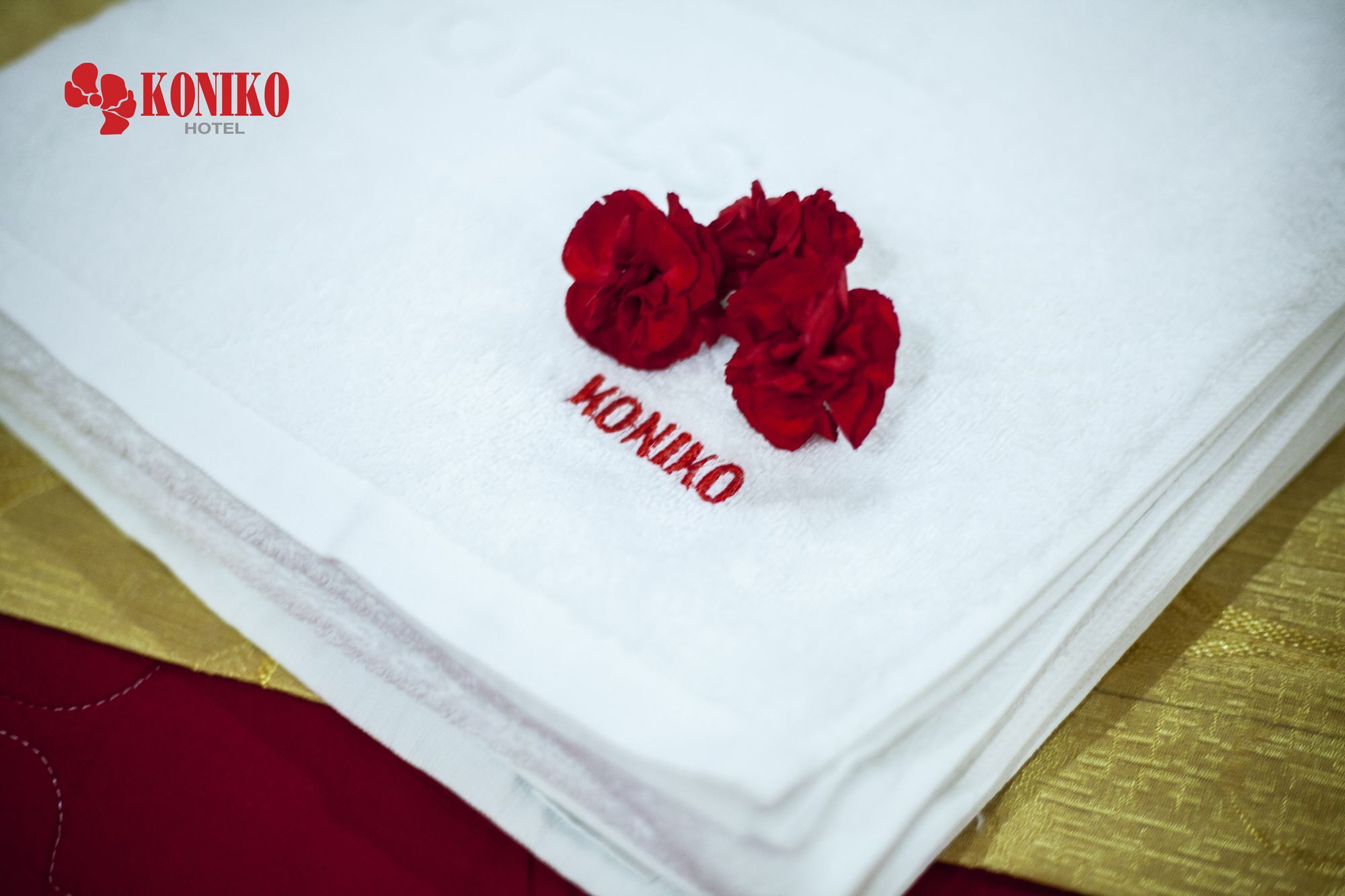 Koniko Hotel Πόλη Χο Τσι Μινχ Εξωτερικό φωτογραφία